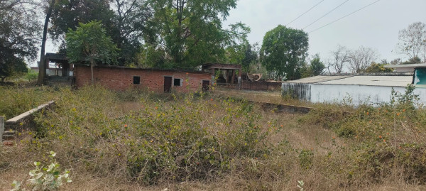 1767763781WhatsApp Image 2025-07-28 at 11.55.50.jpeg